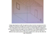 Illustration for article titled Software Controlled Organisms